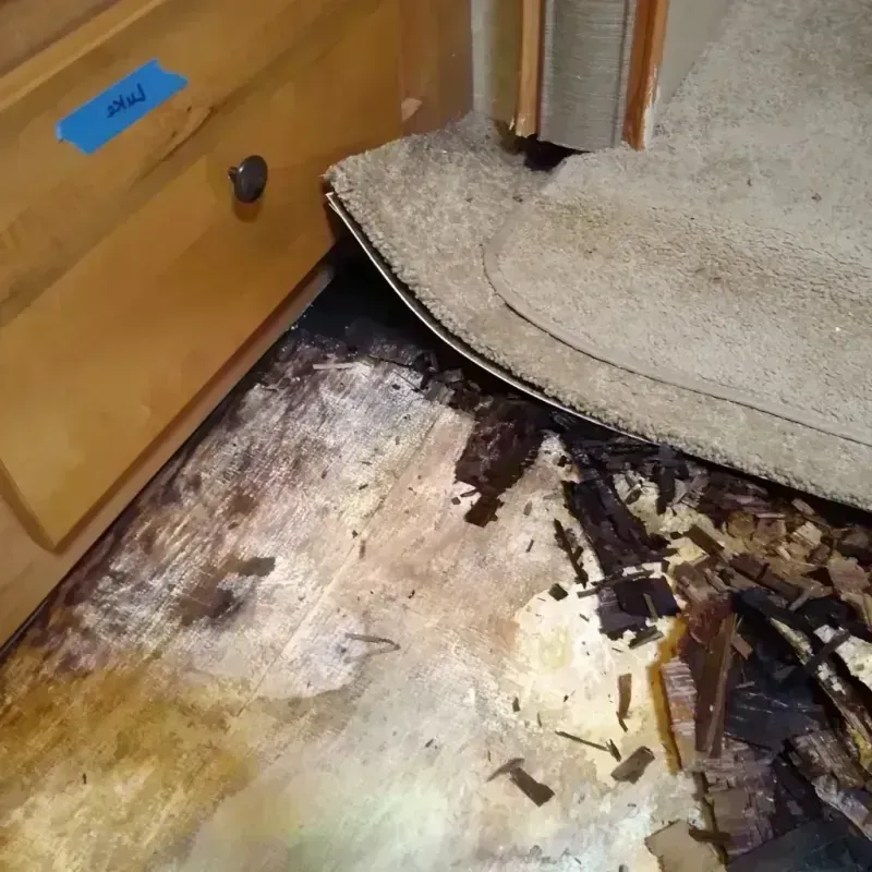 Wood Floor Water Damage in Tyler County, WV